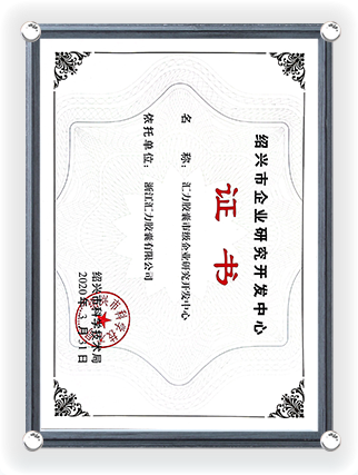 Certificato del Centro di Ricerca e Sviluppo Aziendale di Shaoxing 2020-1