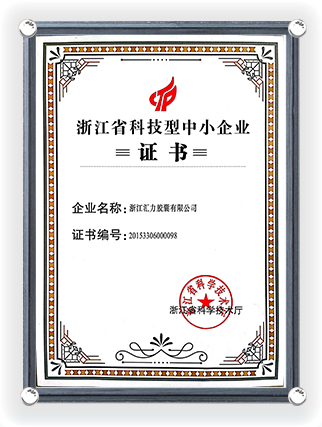 Certificato di Scienza e Tecnologia per Piccole e Medie Imprese della Provincia di Zhejiang -1