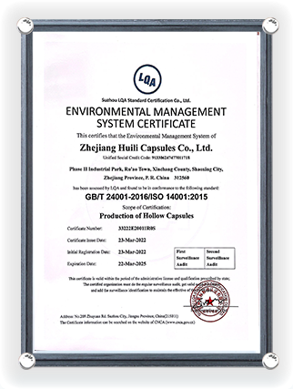 Certificato di Certificazione del Sistema di Gestione Ambientale (Versione Inglese) 22 Marzo 2025
